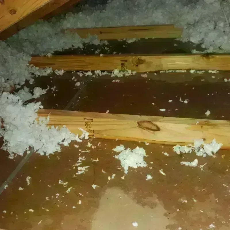 Attic Water Damage in Head of Westport, MA